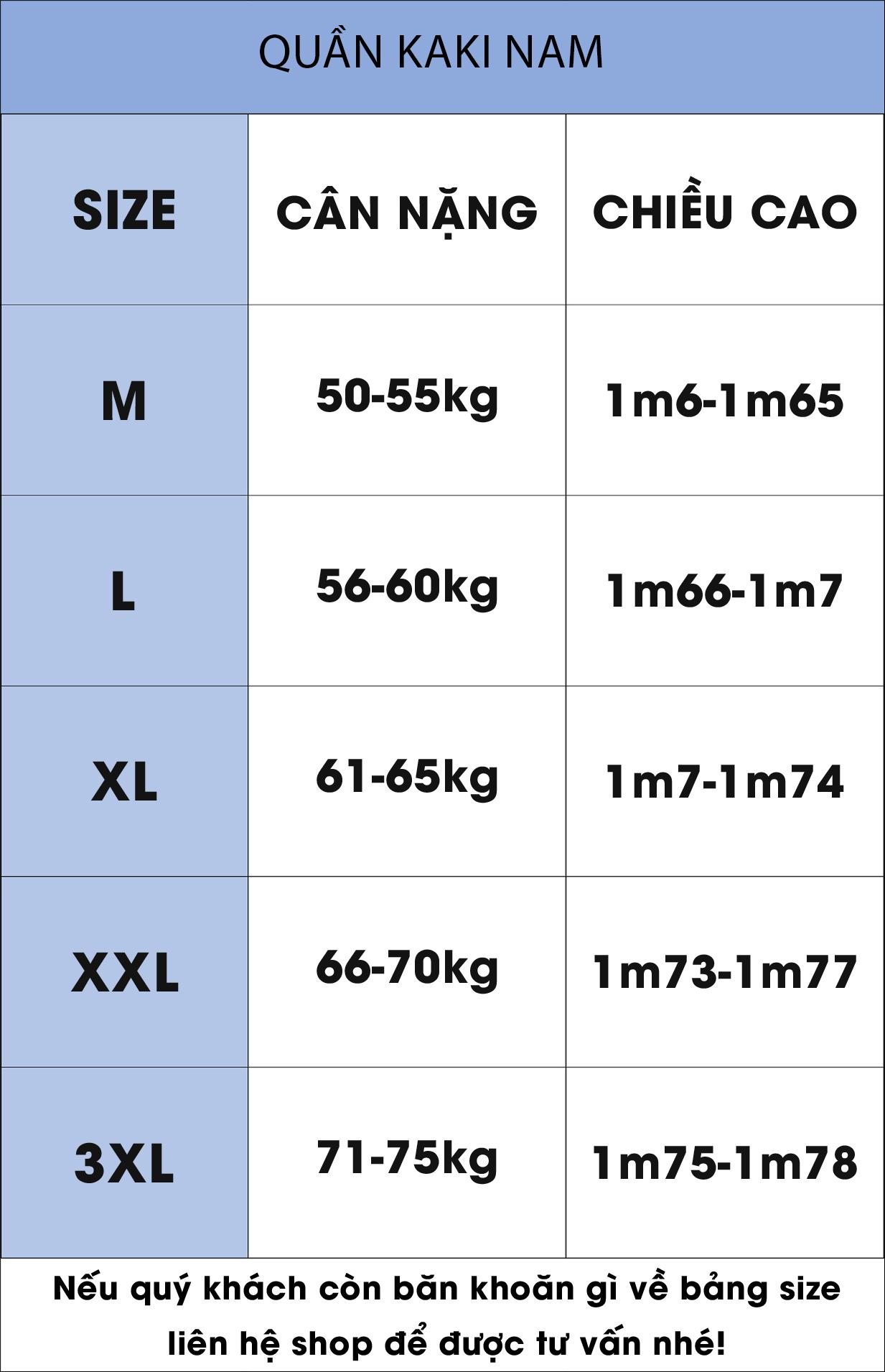 Quần kaki nam sống suông thời trang VICERO