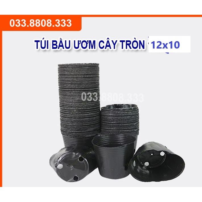 BẦU TRÒN ƯƠM CÂY 12X10 - HÀNG LOẠI 1