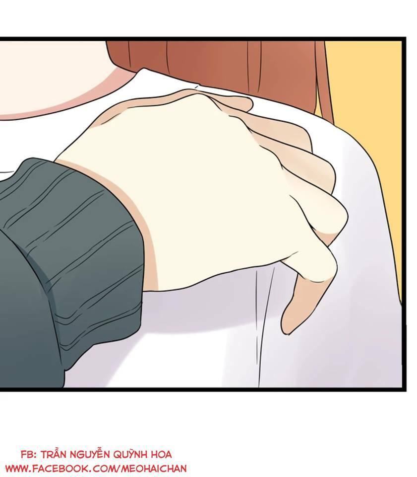 tình yêu! bắt đầu từ ngày hôm nay chapter 15 47