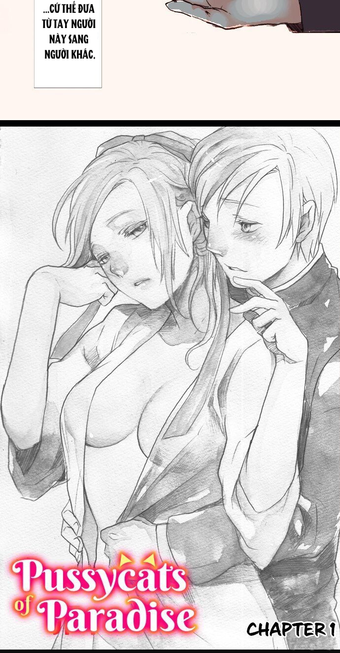 chú mèo đến từ thiên đường chapter 1.1 6