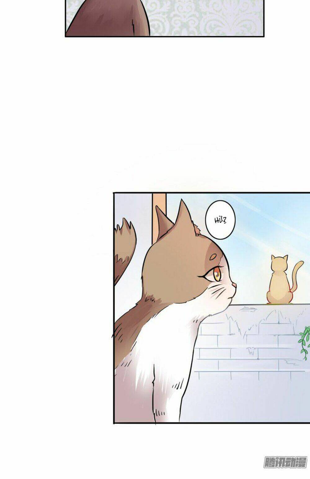 hai chú mèo totem chapter 4 4