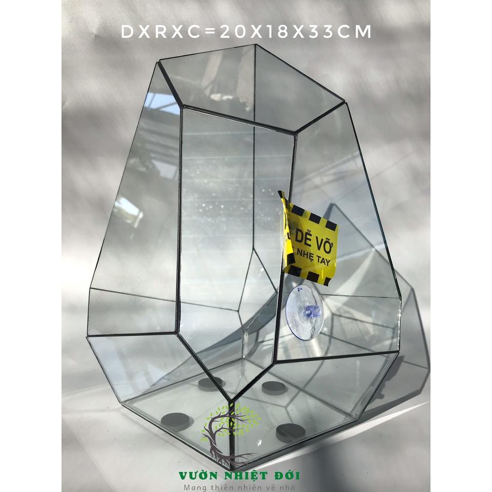 Bể Terrarium Đa Giác Setup Bán Cạn Để Bàn Làm Việc
