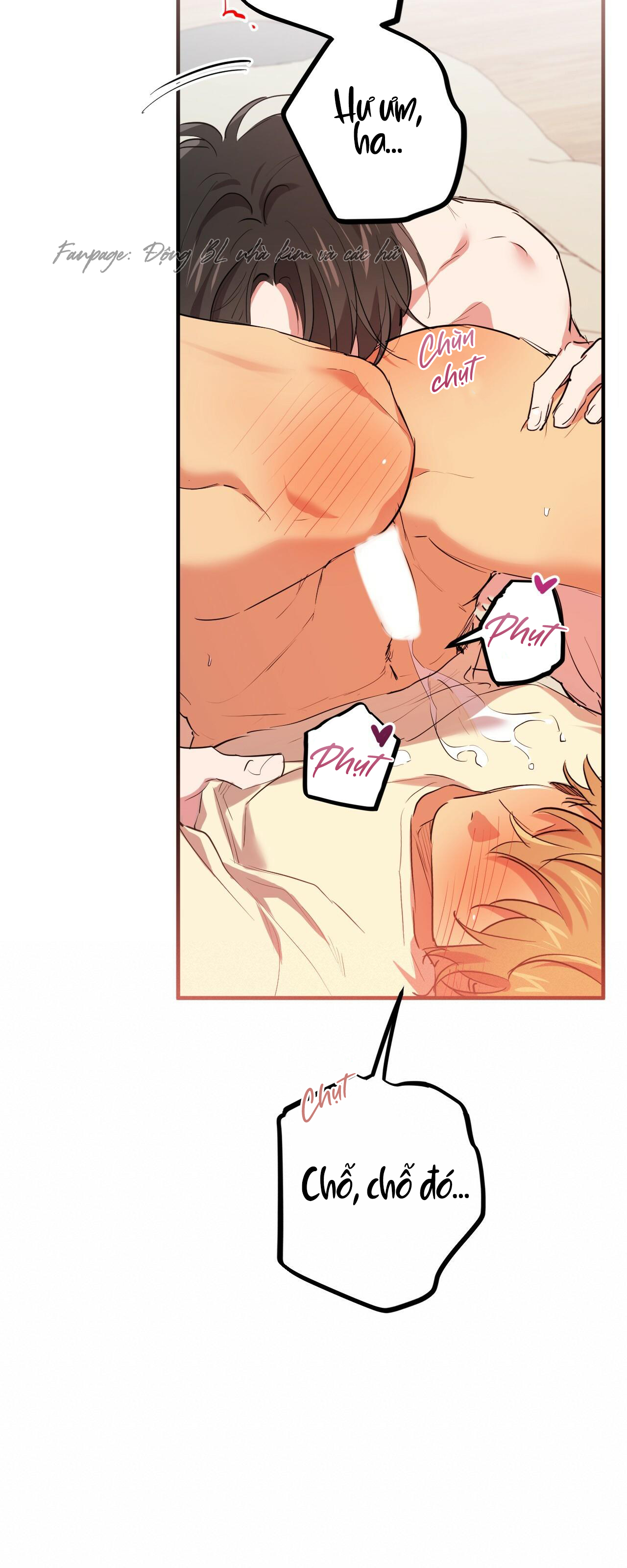 những chú thỏ của hapypy chapter 38 23