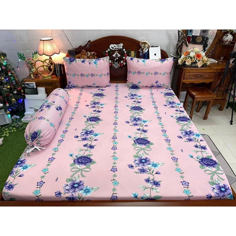 Drap thun hàn quốc