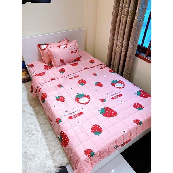 Chăn hè COTTON POLY trần bông 3 lớp