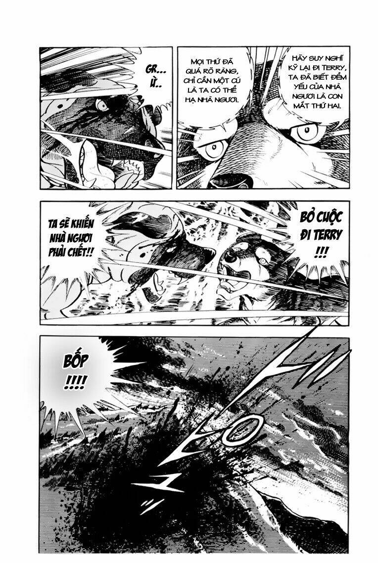 chú chó có nghĩa - ginga nagareboshi gin chapter 31 31