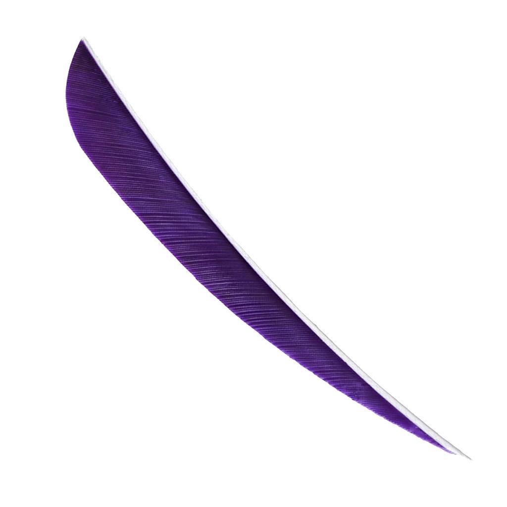 36pcs 3inch Archery Arrow Turkey Feathers Fletchings Vanes Outdoor Hunting