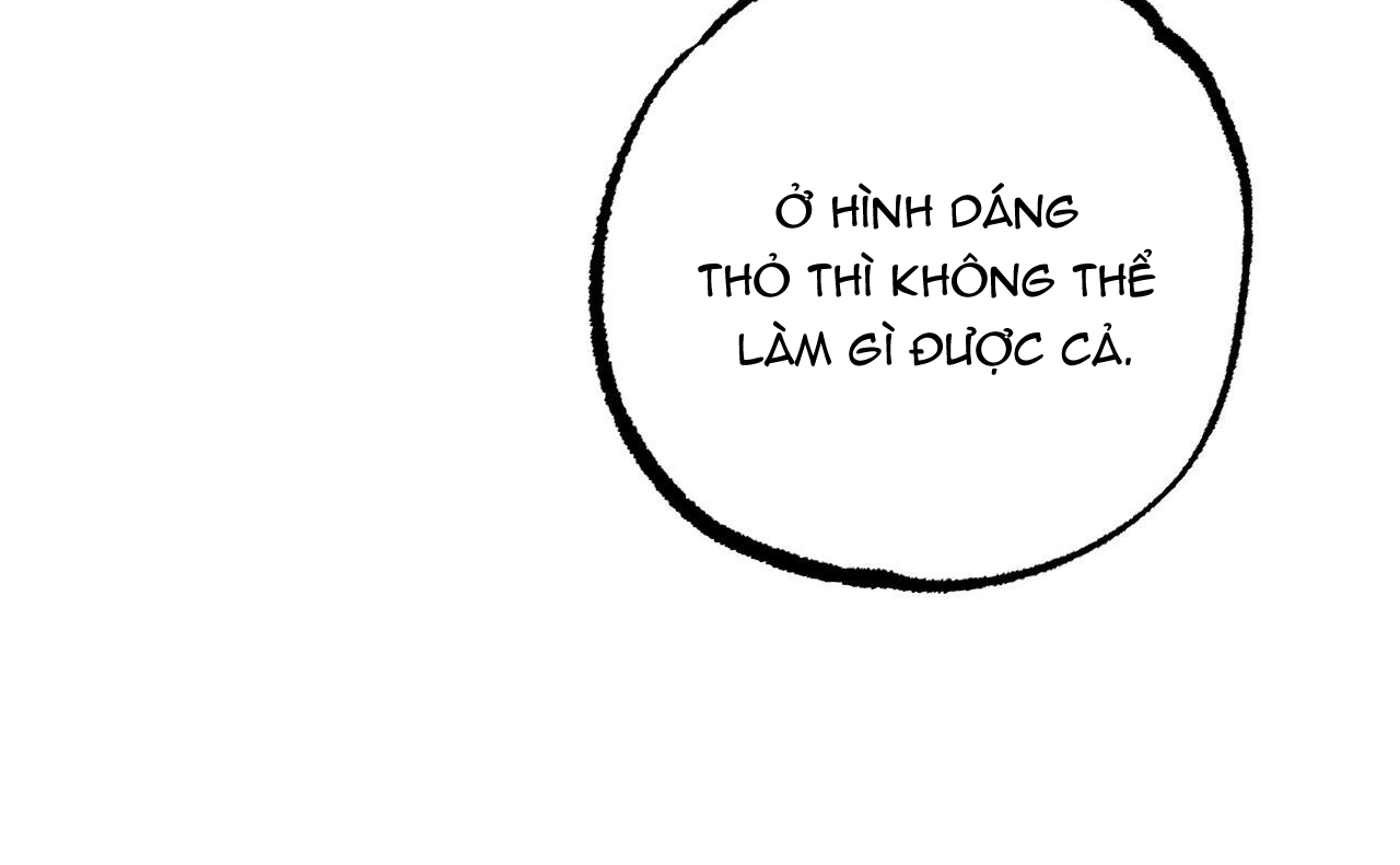 đàn thỏ của habibi chapter 46 149