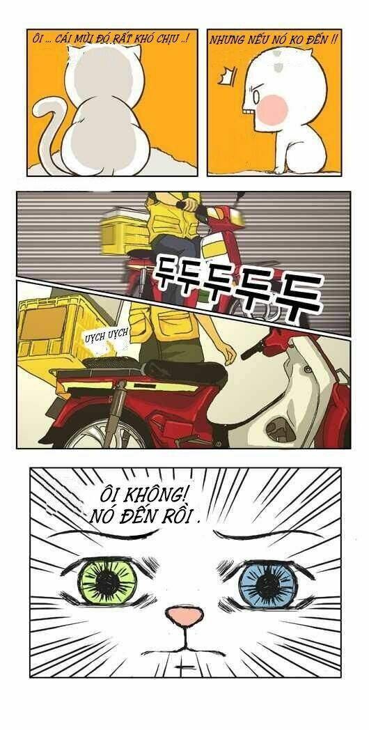 papi nyang chapter 1 14