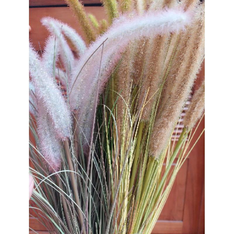 Cây giả decor cành cỏ lau giả cao cấp