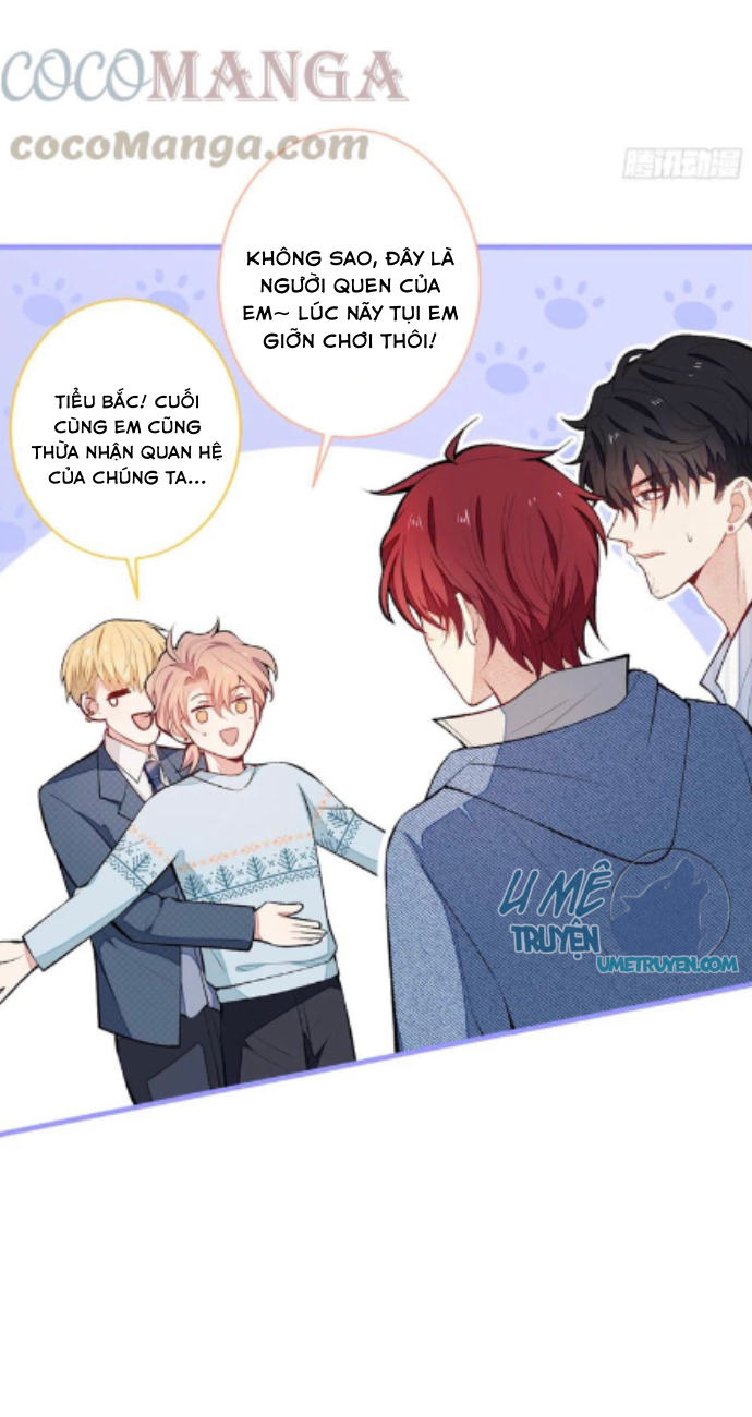 lại bị nam thần chọc trên hot search! chapter 65 4