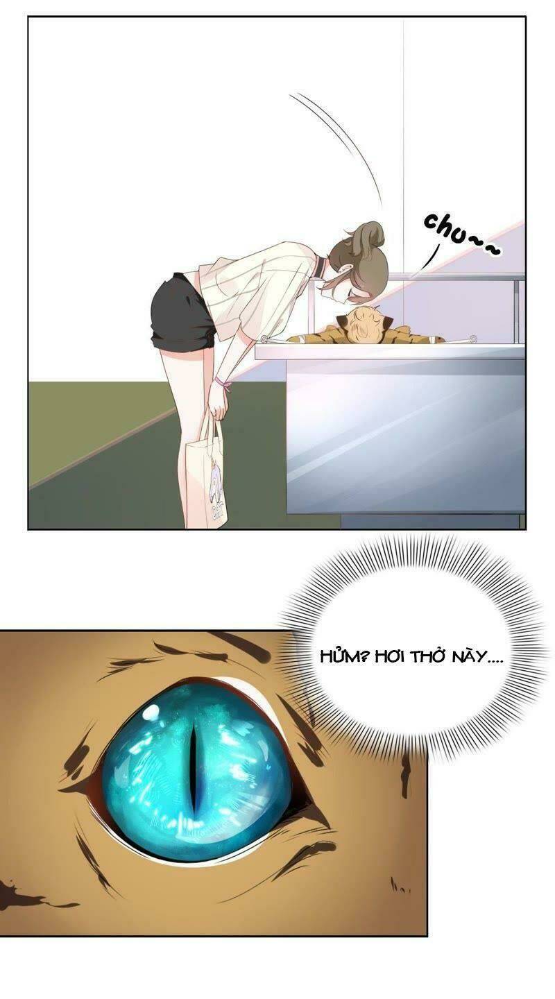 thập nhị hắc miêu chapter 1 39