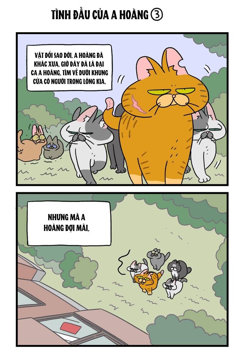 a mãn và mạch trà chapter 18 5