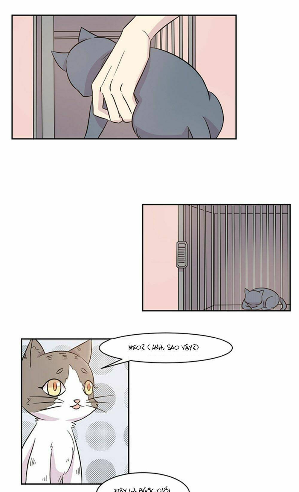 hai chú mèo totem chapter 17 18