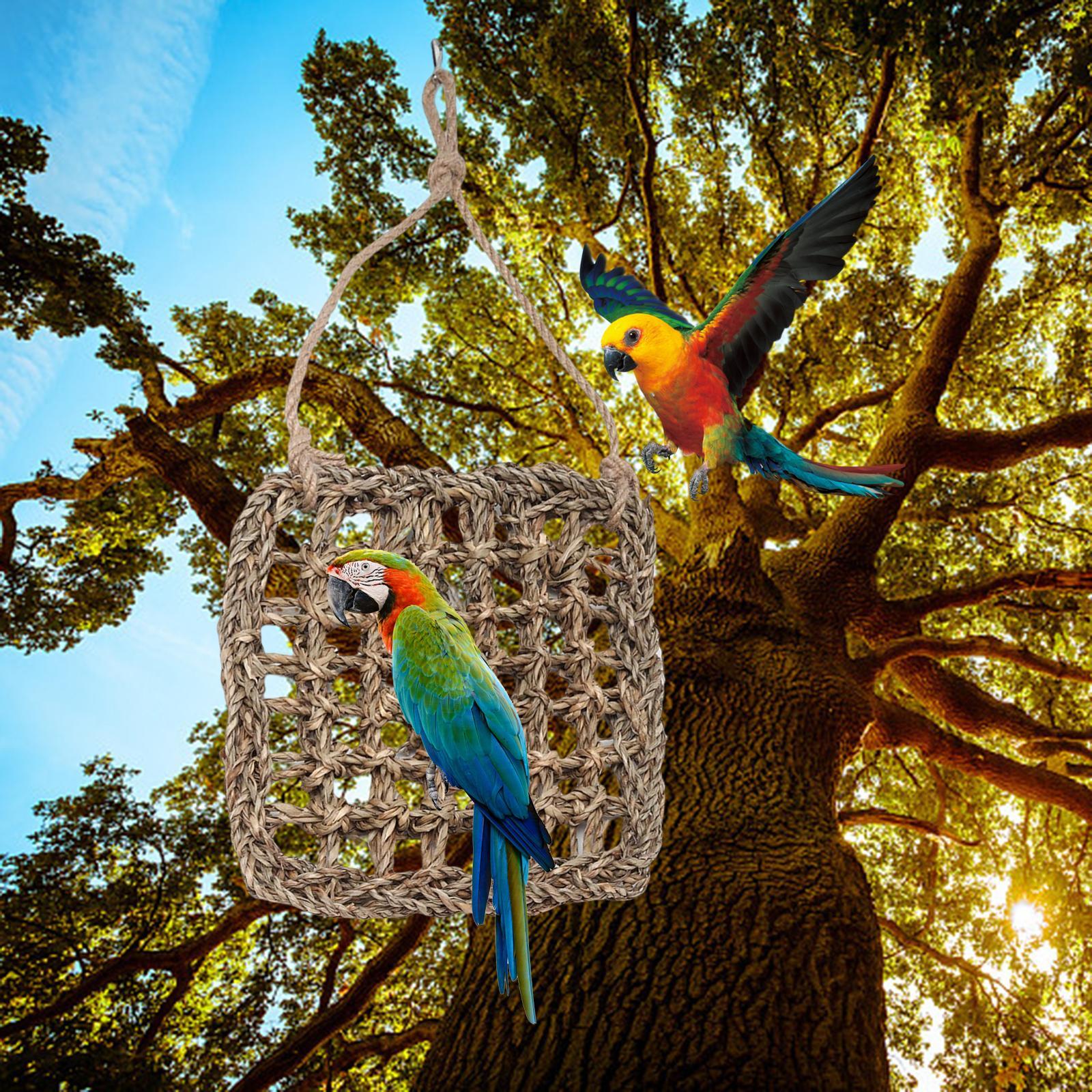 Climbing Ladder Hammock Activity Toy Bird Climbing Net for Finches Parakeets S
