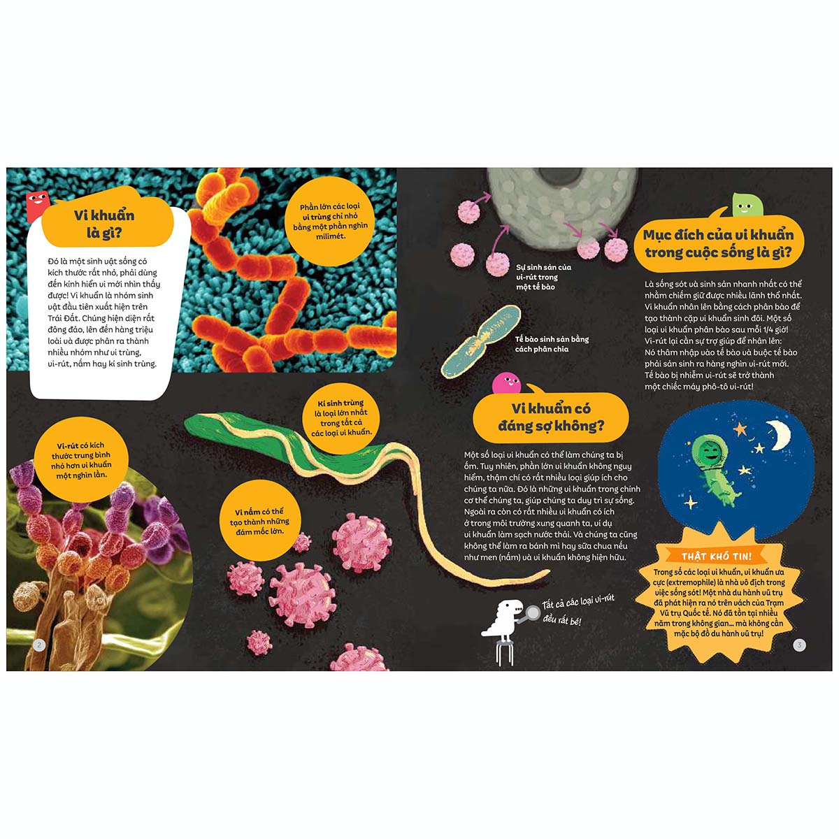 Em Biết Gì? - Thế Giới Vi Khuẩn