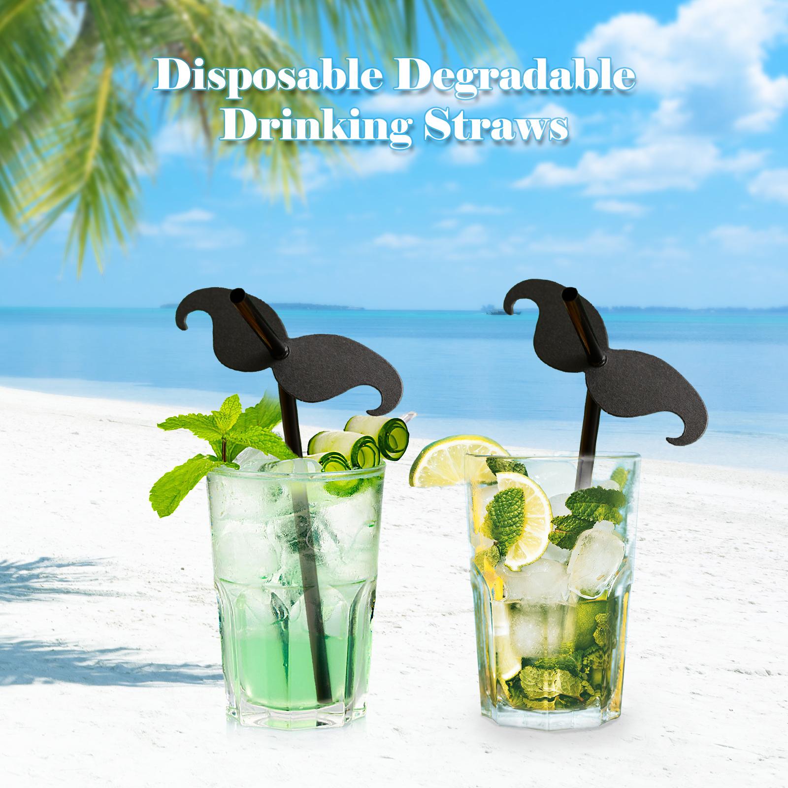 Set 10 Ống Hút Râu Uống Dùng Một Lần Trang Trí Cocktail