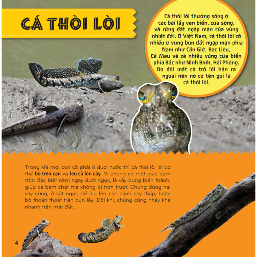 Bí Ẩn Thế Giới Loài Vật