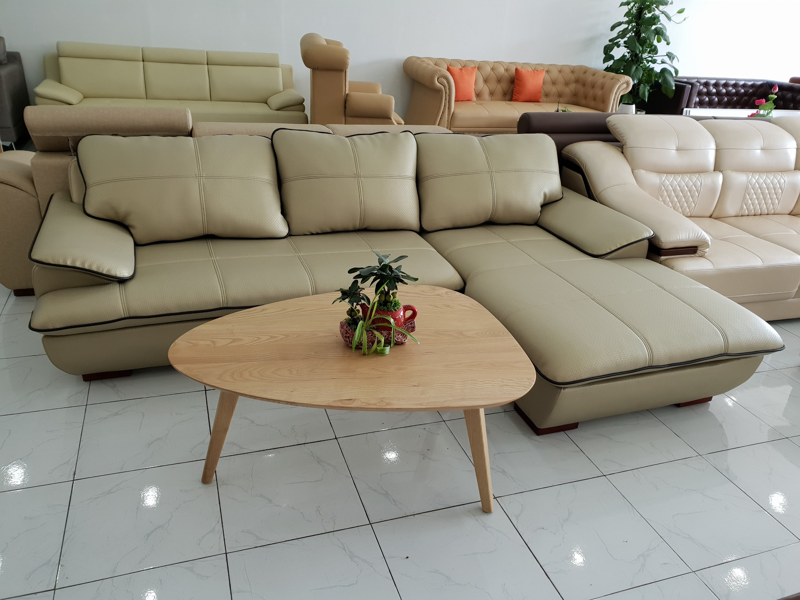 Bộ Sofa Kiểu Hot_Màu Vàng Ánh Đồng Viền Nâu_Size 2500 x 1650