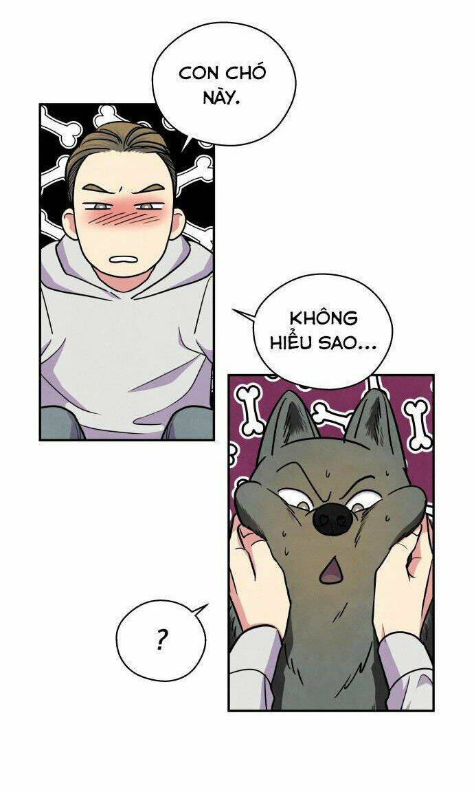 tai sói và mũ đỏ chapter 38 22