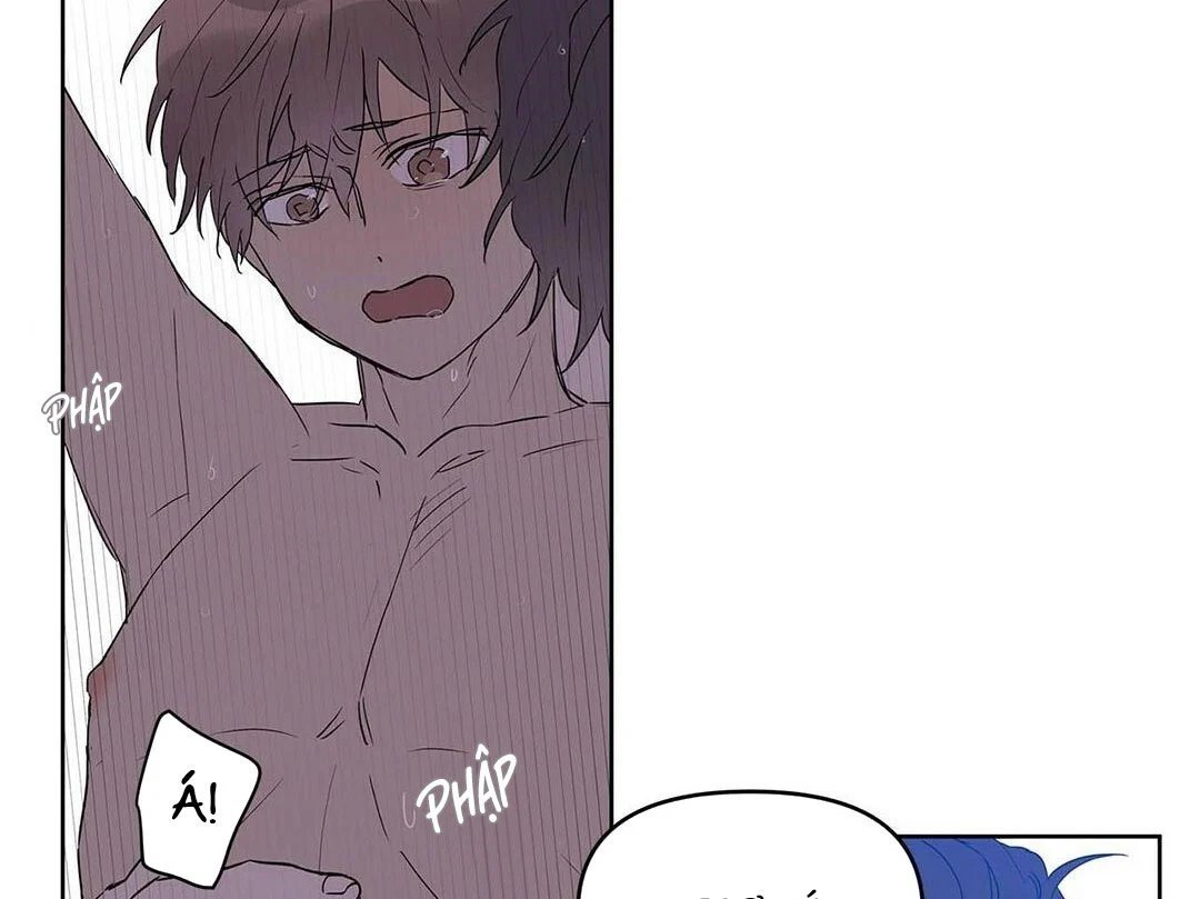 guide cấp b chapter 22 17