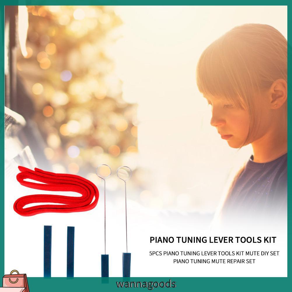 Set 5 Dụng Cụ Sửa Đàn Piano Chuyên Dụng