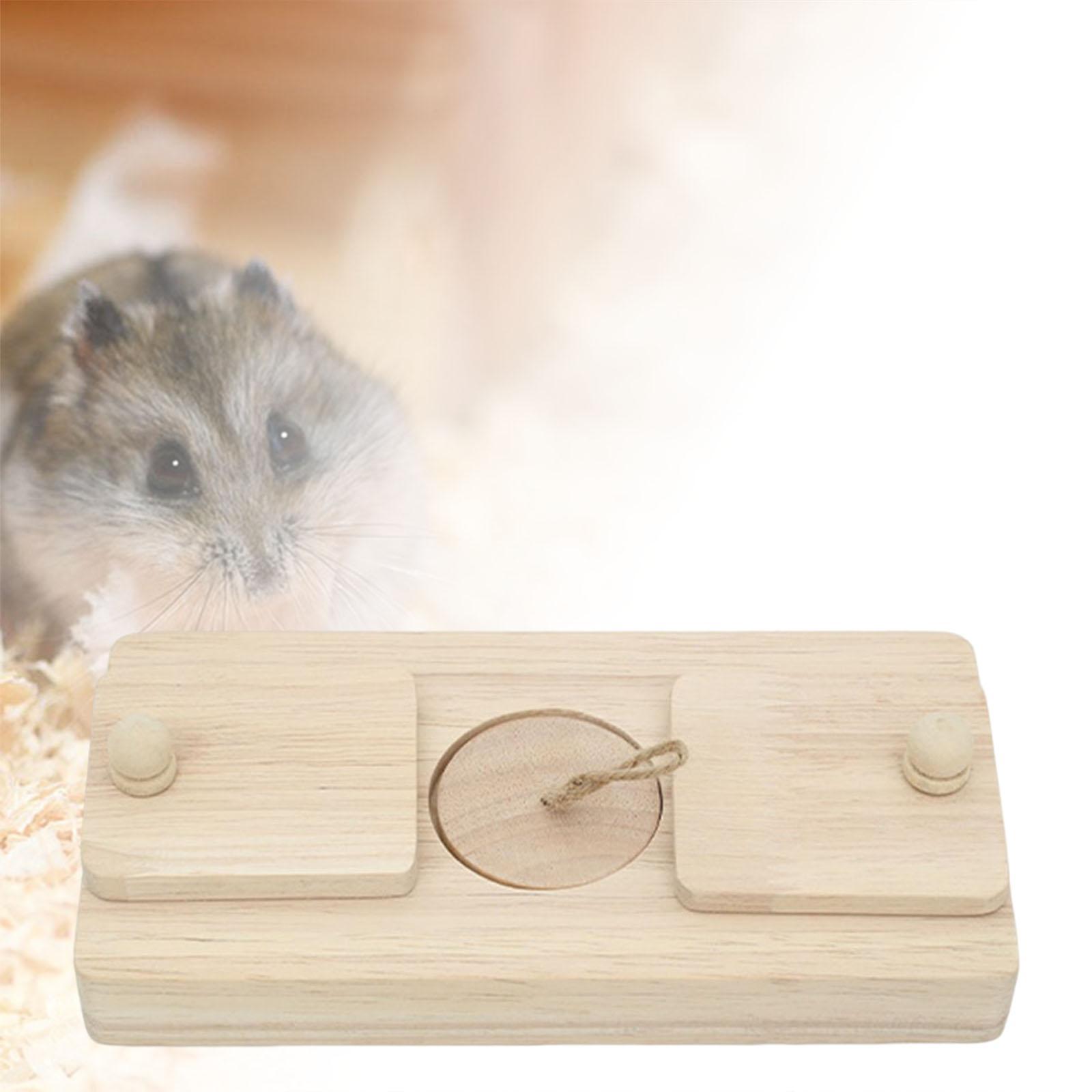 Hide Treats Foraging Toy Foraging Toys for Golden Bear Guinea Rats