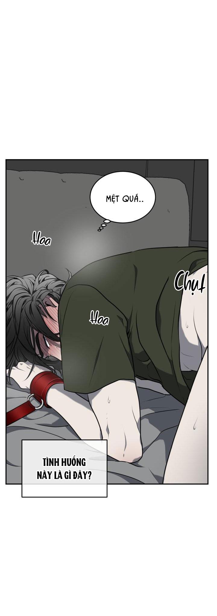 dưỡng thú cưng chapter 8 49