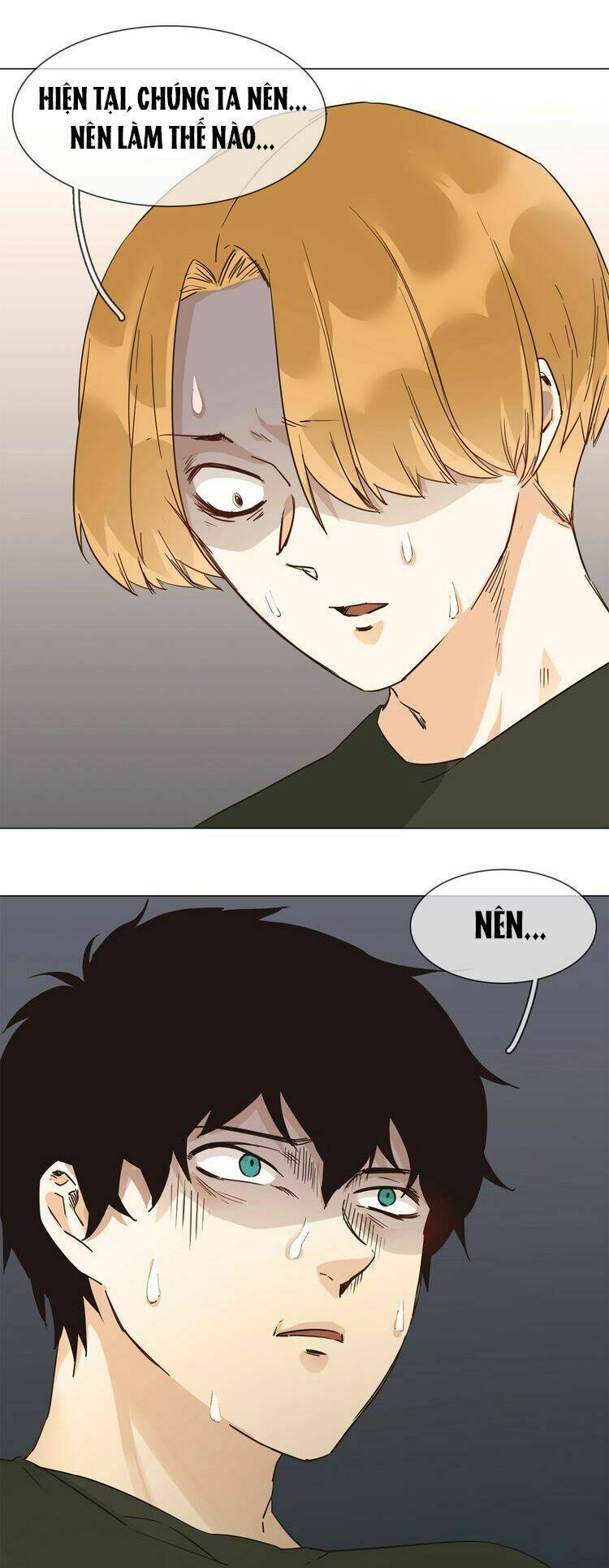 ngôi sao vụn vỡ chapter 23 21