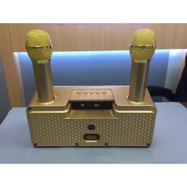 Loa Karaoke SD 301/309 Kèm 2 Micro Không Dây tích hợp bluetooth 4.0 - usb - thẻ nhớ