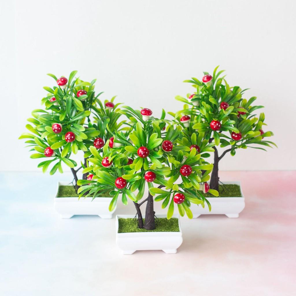 (Kèm chậu) Cây bonsai quýt, quất, lựu, ớt, nấm, dâu tây, cherry - Hoa giả trang trí, đề bàn