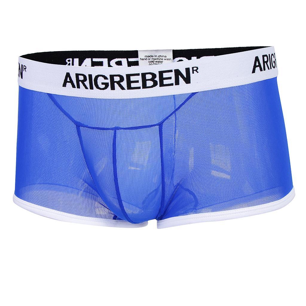 Men Mesh Underwear Thong Bikini Briefs Knickers Soft Sleepwear Swimsuit - Blue, L