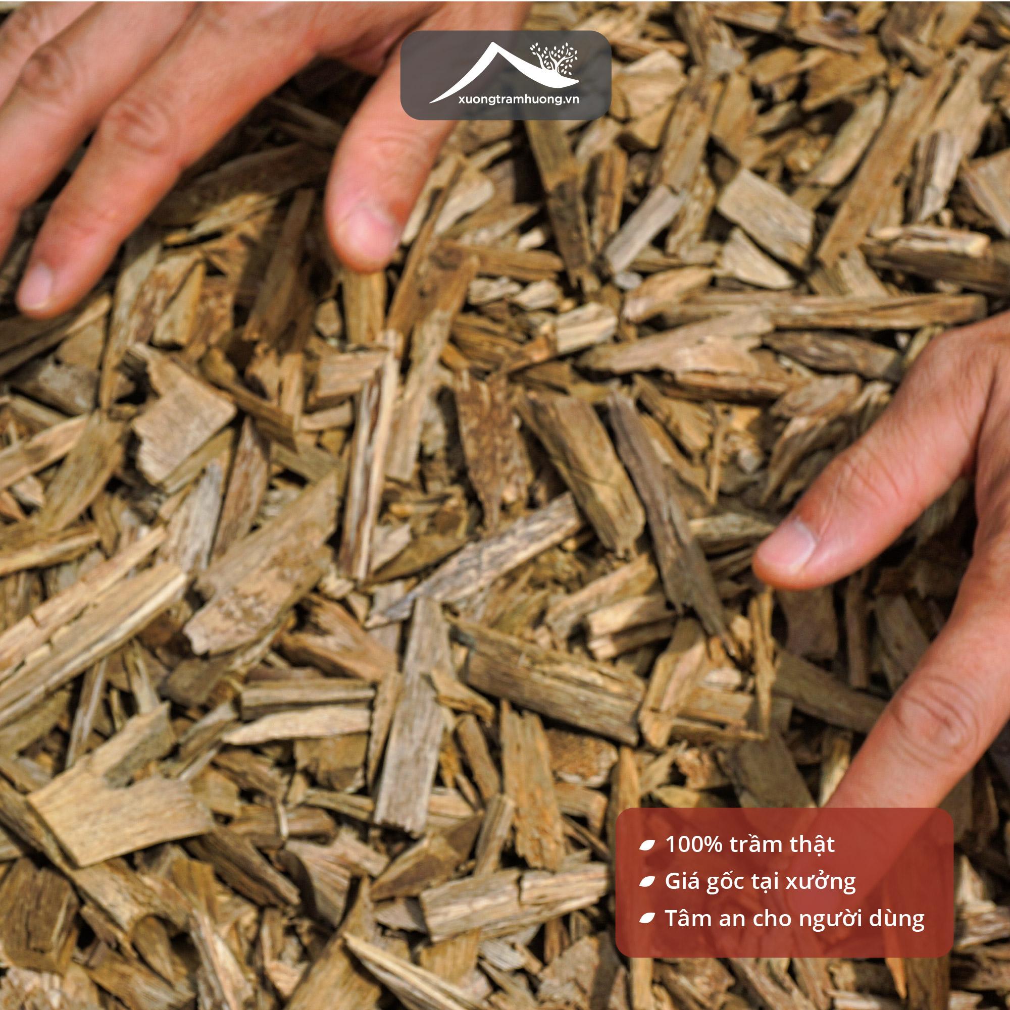 Trầm Hương miếng Sạch Cao Cấp Thượng Hạng Xưởng Trầm Hương Xông Nhà Tẩy Uế Tân Gia - 20gr, 20gr