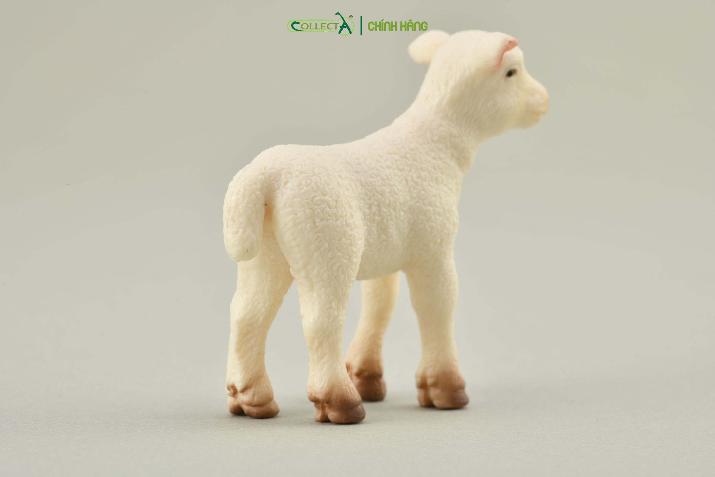 Mô hình thu nhỏ: Cừu con - Lamb, hiệu: CollectA, mã HS 9650171[88009] -  Chất liệu an toàn cho trẻ - Hàng chính hãng