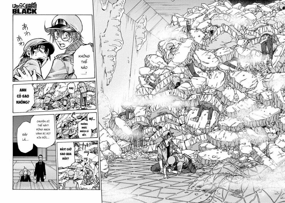 biệt đội tế bào black - hataraku saibou black chapter 9 14