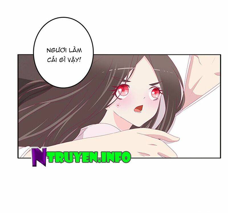 tướng quân mời ra trận chapter 135 8