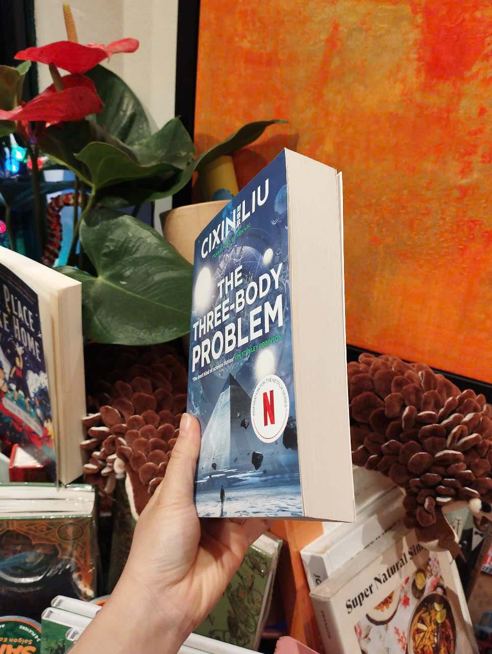 Sách - The Three-Body Problem by Cixin Liu - Sách tiếng anh/Fiction