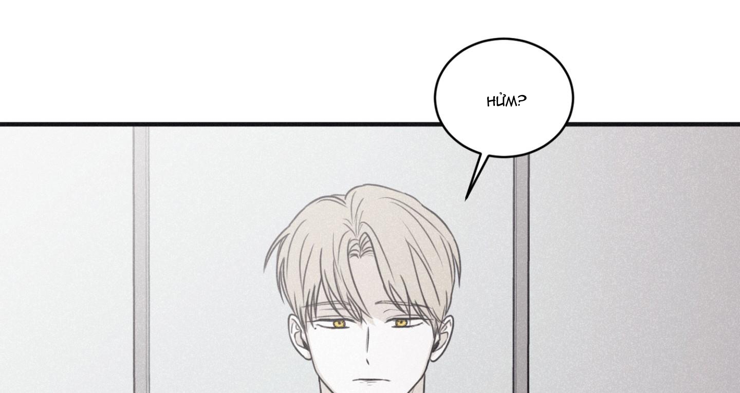 chiếu tướng chapter 80 23