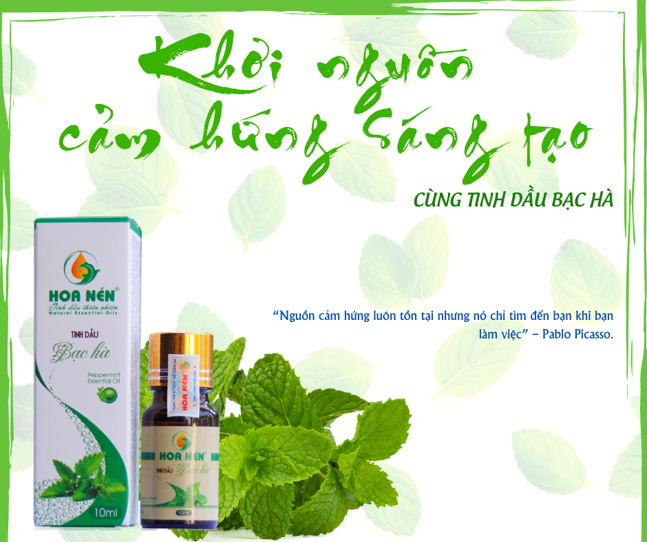 Tinh dầu Bạc Hà nguyên chất 100ml - Hoa Nén - Vegan - The mát, thư giãn, đuổi chuột