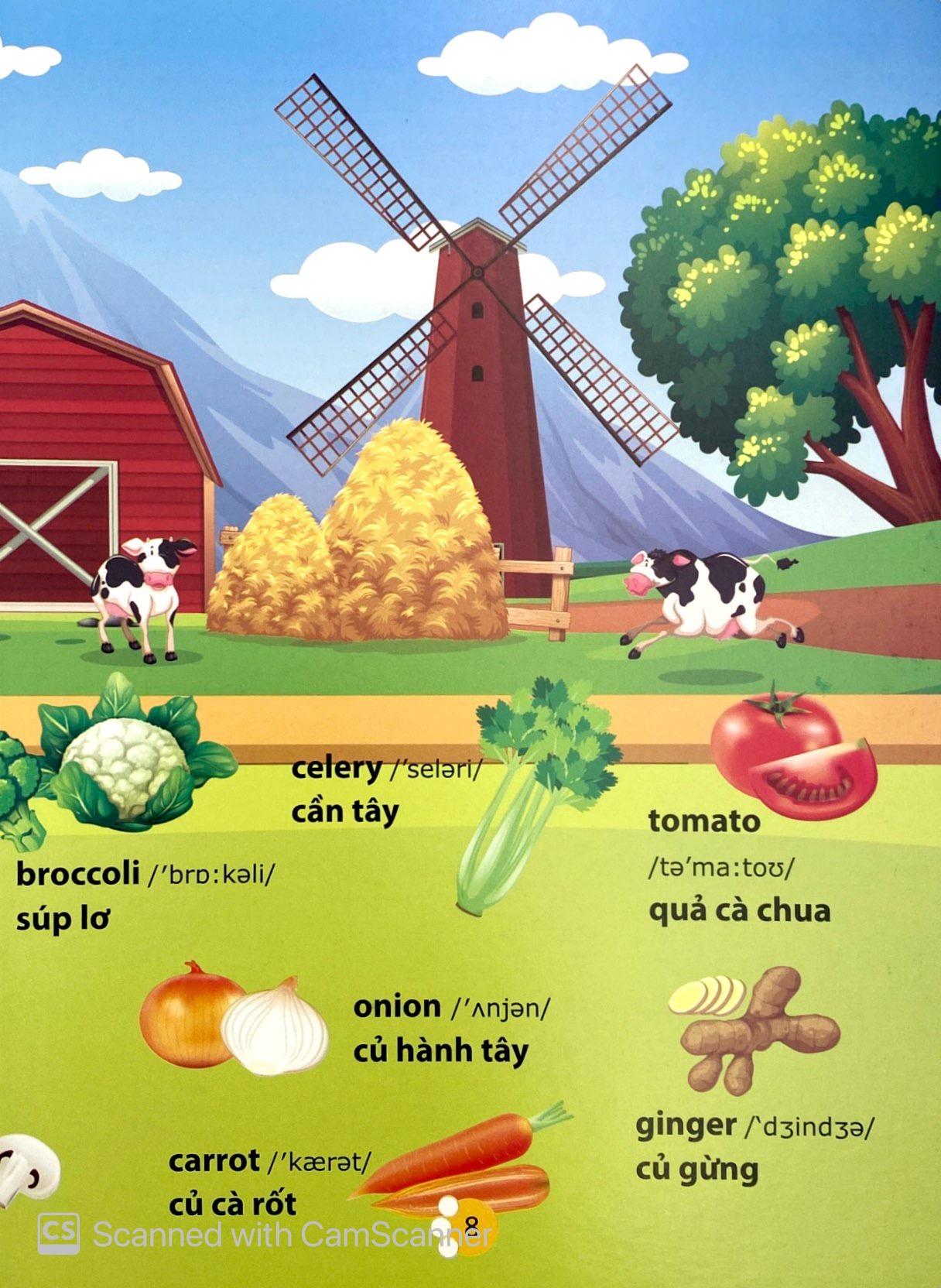Từ Điển Phát Triển Ngôn Ngữ Bằng Hình Dành Cho Trẻ Mầm Non - Chủ Đề: Phương Tiện Giao Thông + Thành Viên Trong Gia Đình + Trái Cây + Rau Củ