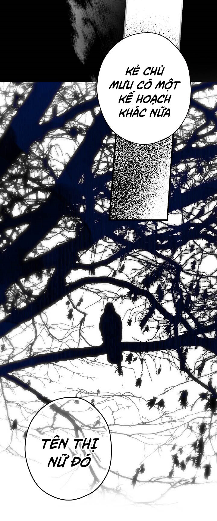 tiểu thư bí ẩn chapter 10 43