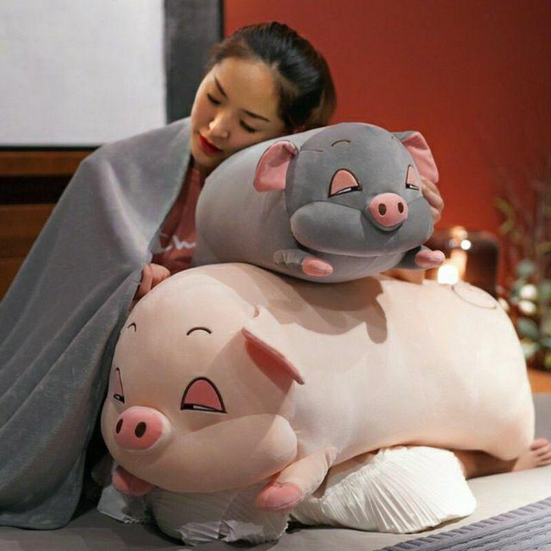 Gấu bông_ heo bông béo ú kèm chăn siêu đáng yêu cute giá rẻ