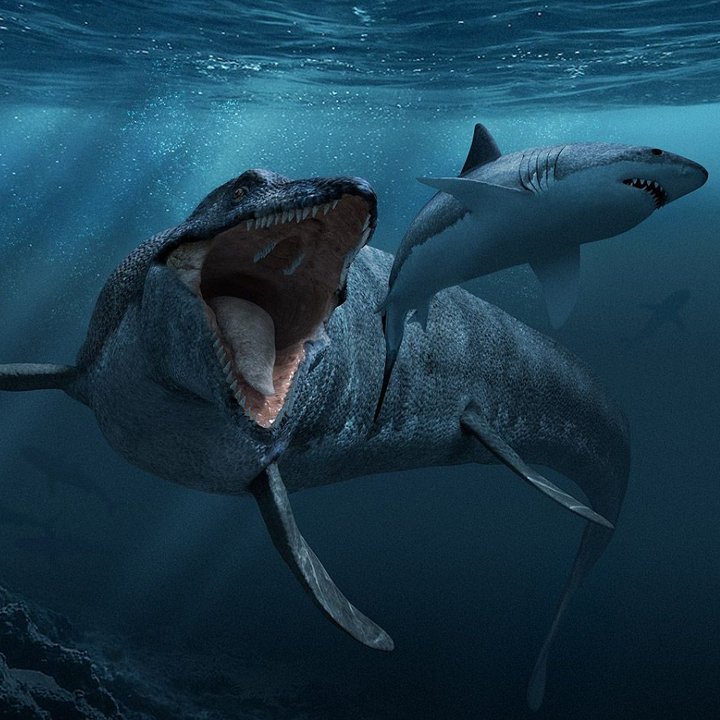 Đồ Chơi Mô Hình Khủng Long Mosasaurus Cho Bé - Loài Thuỷ Quái Vô Đối Của Kỷ Phấn Trắng