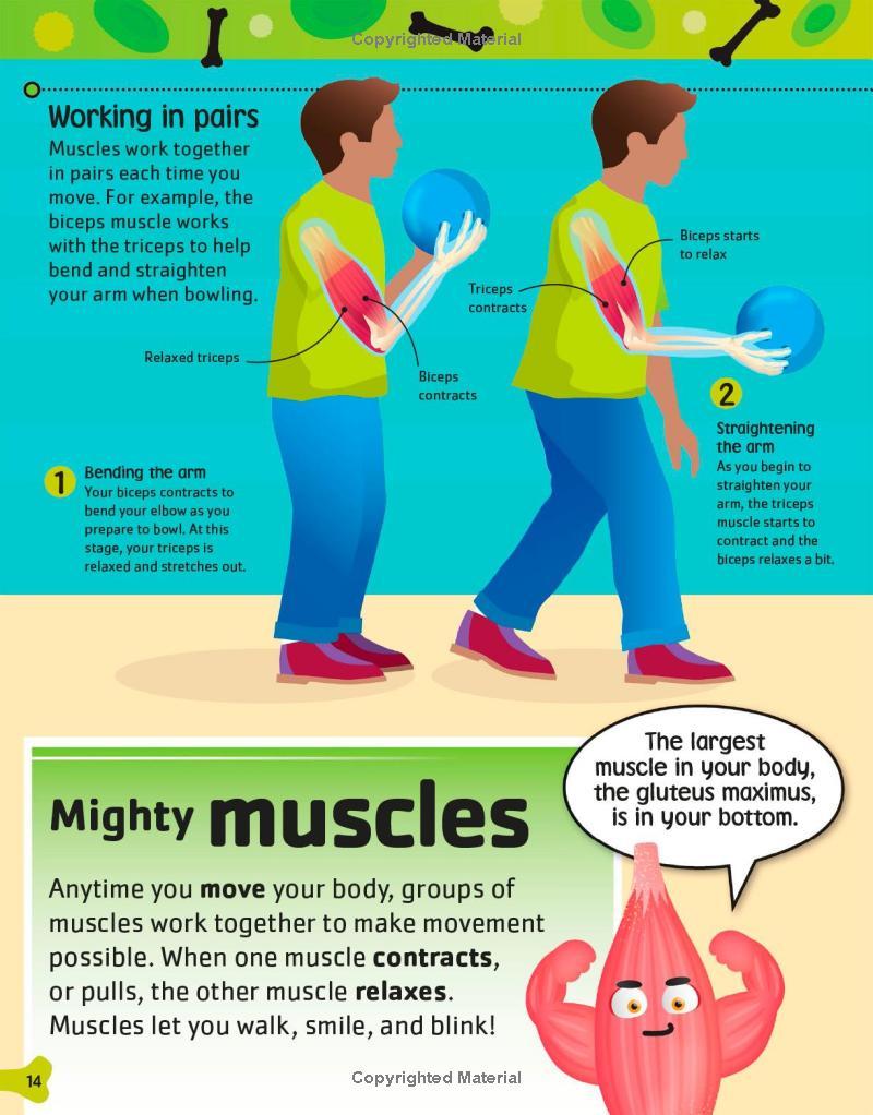 Sách ngoại văn: The Body Book