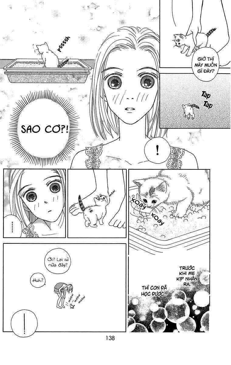 cuộc sống thường nhật của mèo zaccho chapter 1.5 22