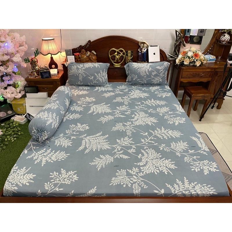 Drap thun hàn quốc