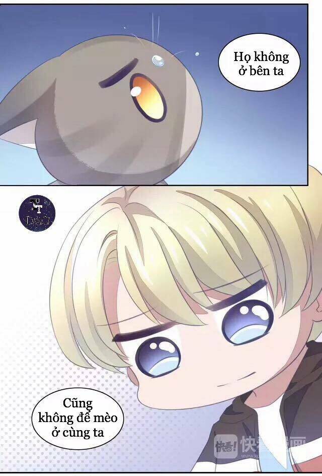 dưới móng vuốt mèo chapter 20 31