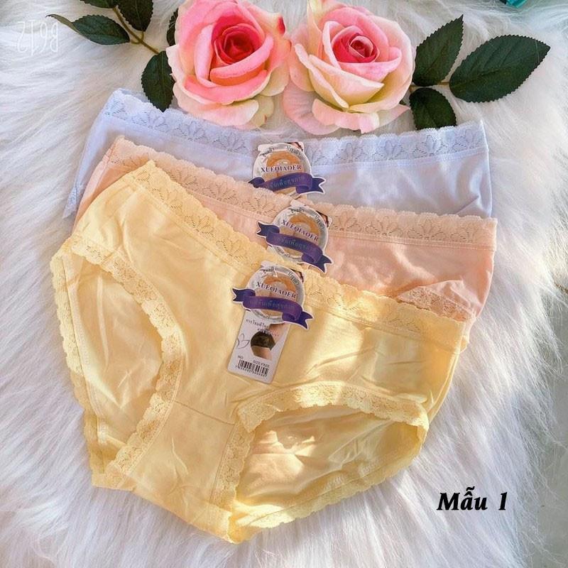 Quần Lót Nữ Cotton Xinh Xắn Viền Ren Siêu Mịn - Chất Liệu Thấm Hút Và Co Giãn 4 Chiều