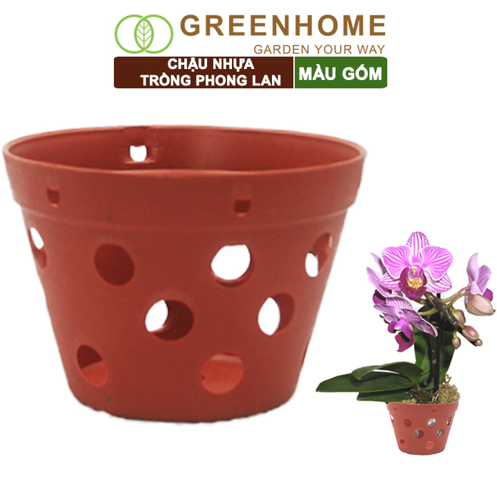 Chậu nhựa trồng phong lan, R15xC10cm, màu gốm, bền, đẹp, chống rơi vỡ, giá thành tốt |Greenhome