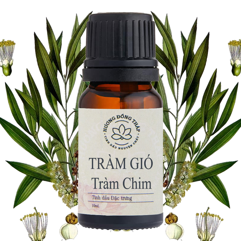 Tinh dầu Tràm Gió Tràm Chim 10mL - Hàng chính hãng